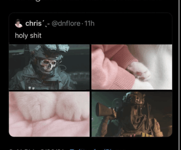 [COD] Coming from a new player, what's with non-players' obessions with these two?