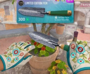 New Armory Pass limited item leaked