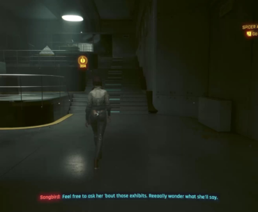 It finally happened… I tripped!