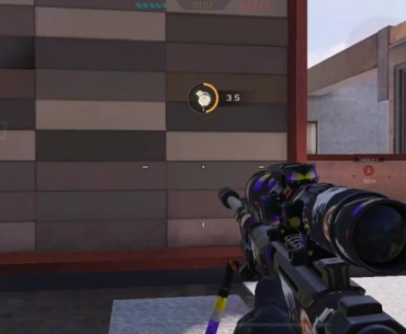 Sniping with the rarest DLQ camo