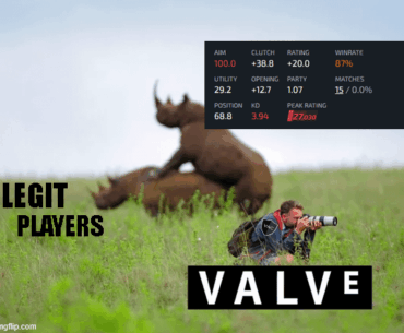 The wild premier safari