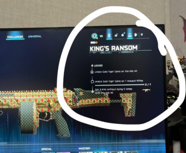 Can you still get mastery camos from bo6 in bo7?