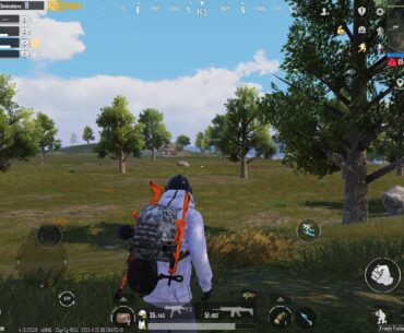 I miss the orange skins