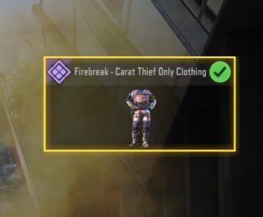 wouldn't it be better if they sell skins like this