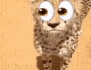 I want to see yalls outfits