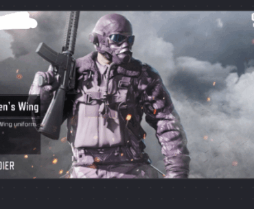 Out of curiosity how rare is this skin? I never see anyone use it