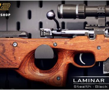 AWP | Laminar Peak [Stealth Black Edition]
