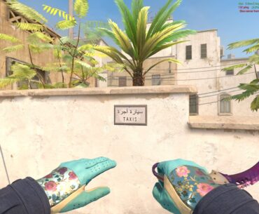Probably the cleanest invetory combos for the ★ Driver Gloves | Brocade Flowers & ★ Talon Knife | Doppler | Phase 2