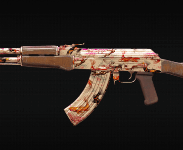!!!...NEW CS2 SKIN... KOI SPLASH...!!!