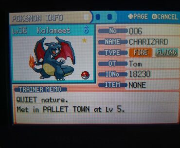 Finally have the dream of every young man