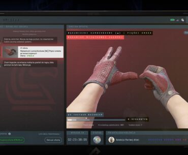 Driver Gloves Dragon Fists FT