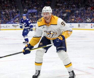 GAME DAY: Preds at Lightning, March 29