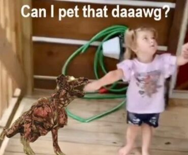 Getting Relics on Paradox Junction be like…