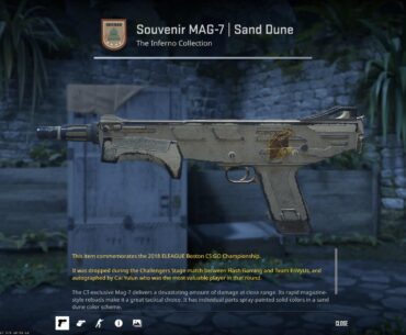 I bought this skin for $.40 did I get a steal?
