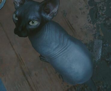 You get given the chance to bring any character to life. Who would it be?