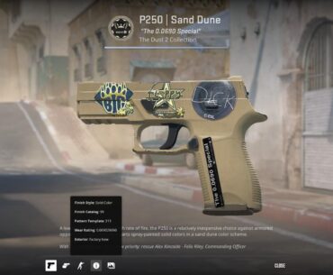 P250 “The 0.0690 Special”