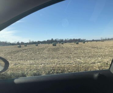 500 upvotes and I’ll test driving into one IRL.