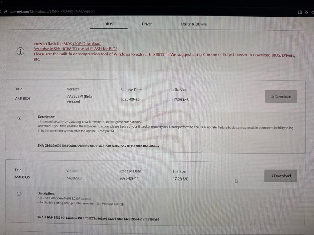 MSI beta bios update and overclock