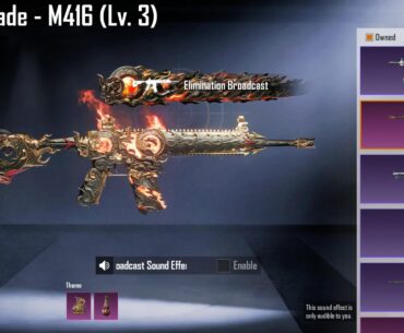 Should I upgrade it elemination or upgrade upcoming akm to advance form?? I'm confused..