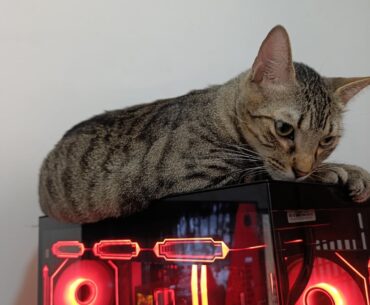 PC Overheating