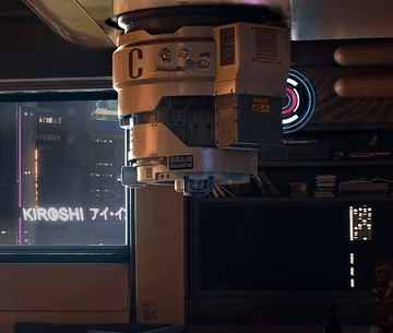 What exactly are these big rigs on the ceiling found everywhere?