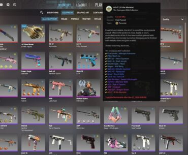 Finally got all armory skins !