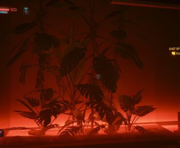 Absolutely unplayable