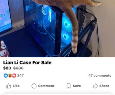 Saw this gem on marketplace