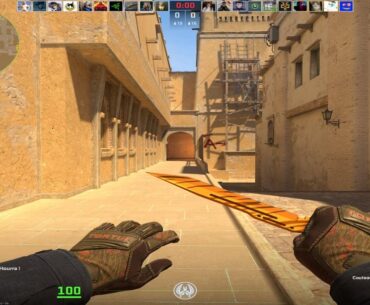 Which knife should I get