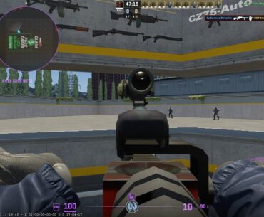 Iron sight bug on the SSG still not fixed