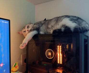 Why is the airflow in my PC case so bad
