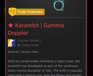 new knife