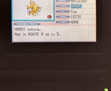 This ASSHOLE sold me this useless yellow fish. Might have to eat it