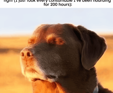 That trash talking piece of crap got absolutely decimated.