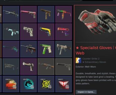 Spent all my adult money on skins. I love being employed