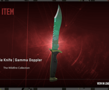 Bought my first knife, Bowie Gamma P2
