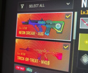 What do you think guys, which one should I upgrade to level 6 I would have to salvage the other one I like Aug more rn but I feel like its going to fall of the meta.