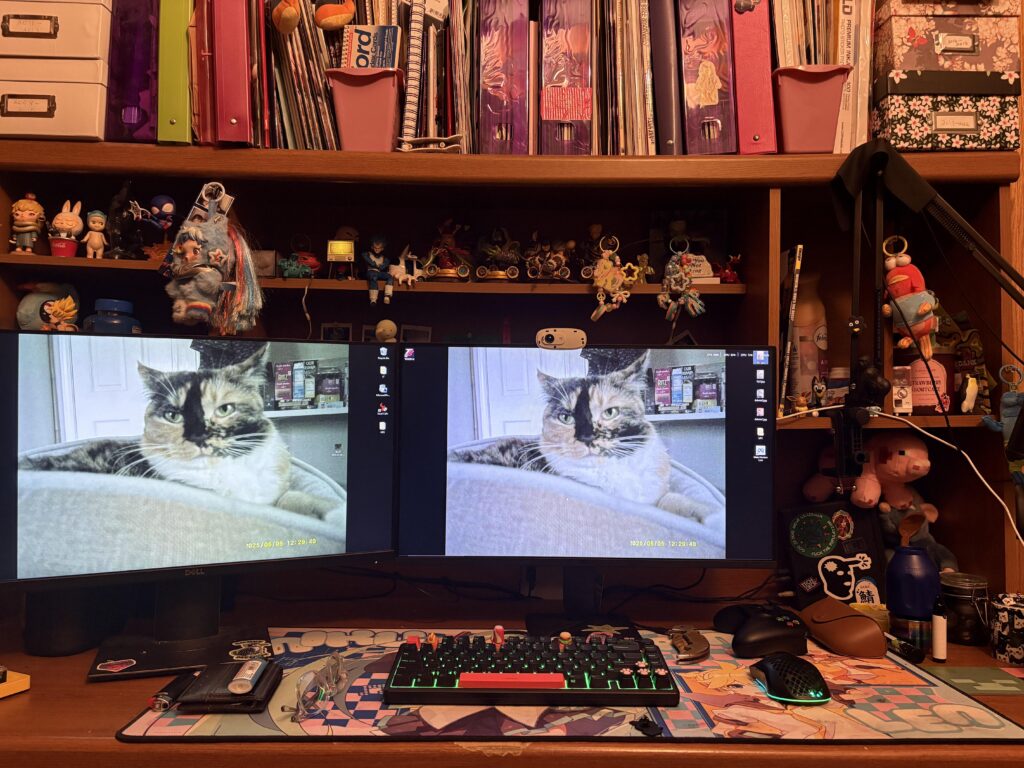 Recently moved… happy with my setup :D