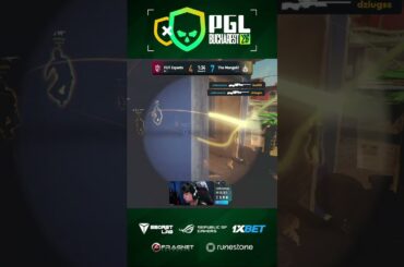 4 KILLS? cobrazera is A BEAST! #pgl #bucharest #cs #cs2