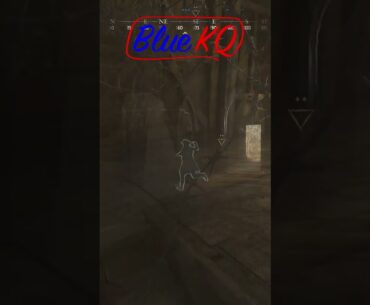 Saber Task | Hunt: Showdown 1896