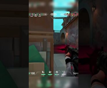 trigger discipline clove