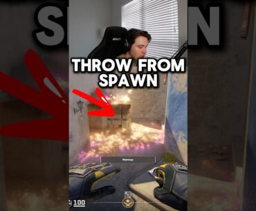 OP Cat Molly on Mirage