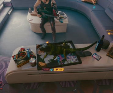 I knew it took a while to hatch but after 200+ hours, I showed up at the crib and now I have an iguana!