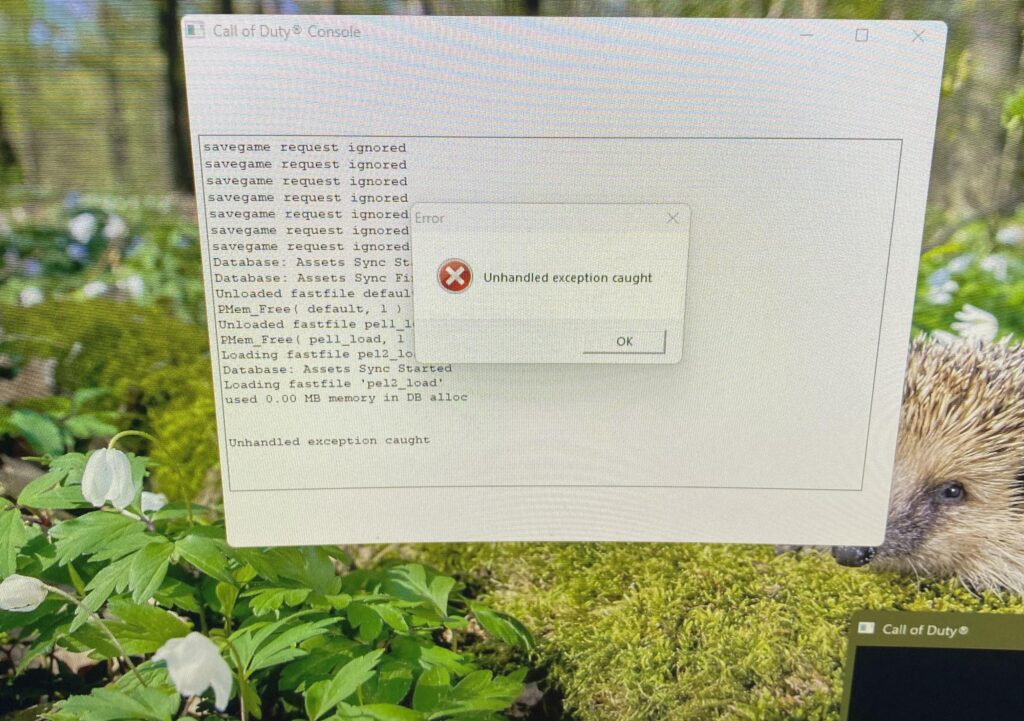 [WAW] Call of duty world at war campaign start problem