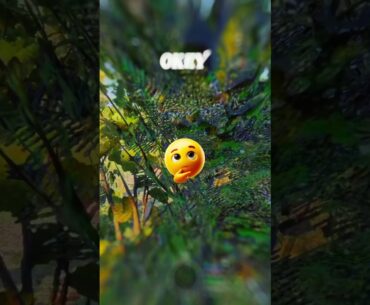 Armamoments #gaming #ps5 #armaclips #gameplay #huuu1984 #armareforger #pc #xbox #milsim #fps #games