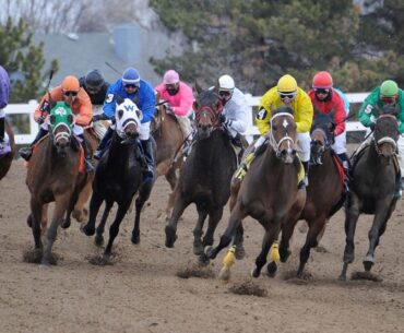 Algorithms are changing horse betting … and outraging gamblers – CDC Gaming