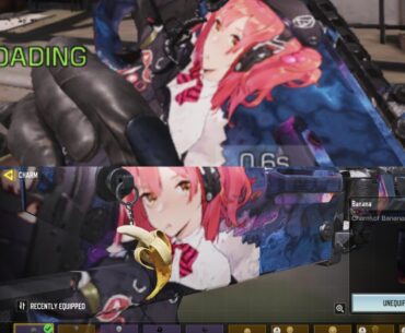 Pls fix charms get covered by camo in game