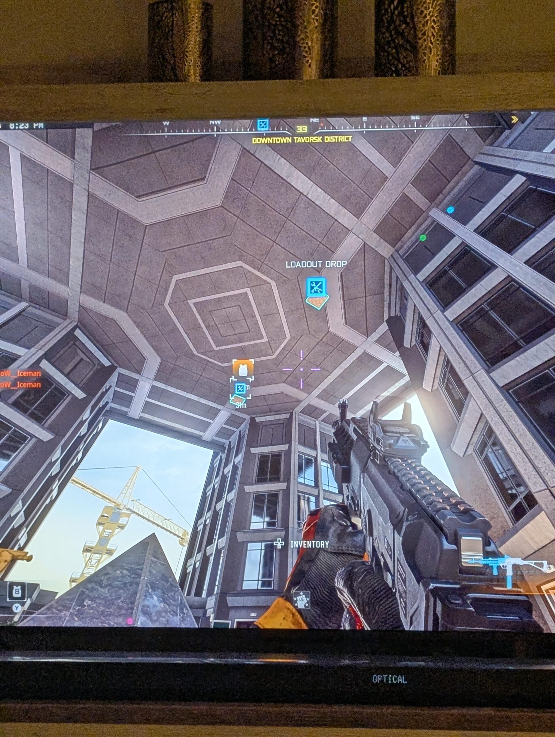 So many bugs So many bugs