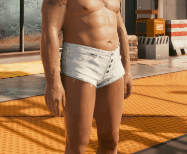 Are these outrageous outfits for NPCs being picked randomly?