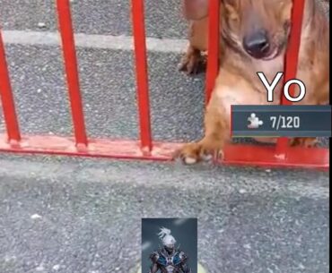 Cuantas piezas les faltan ?